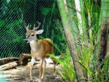 Imagen Zoológico de Quevedo 